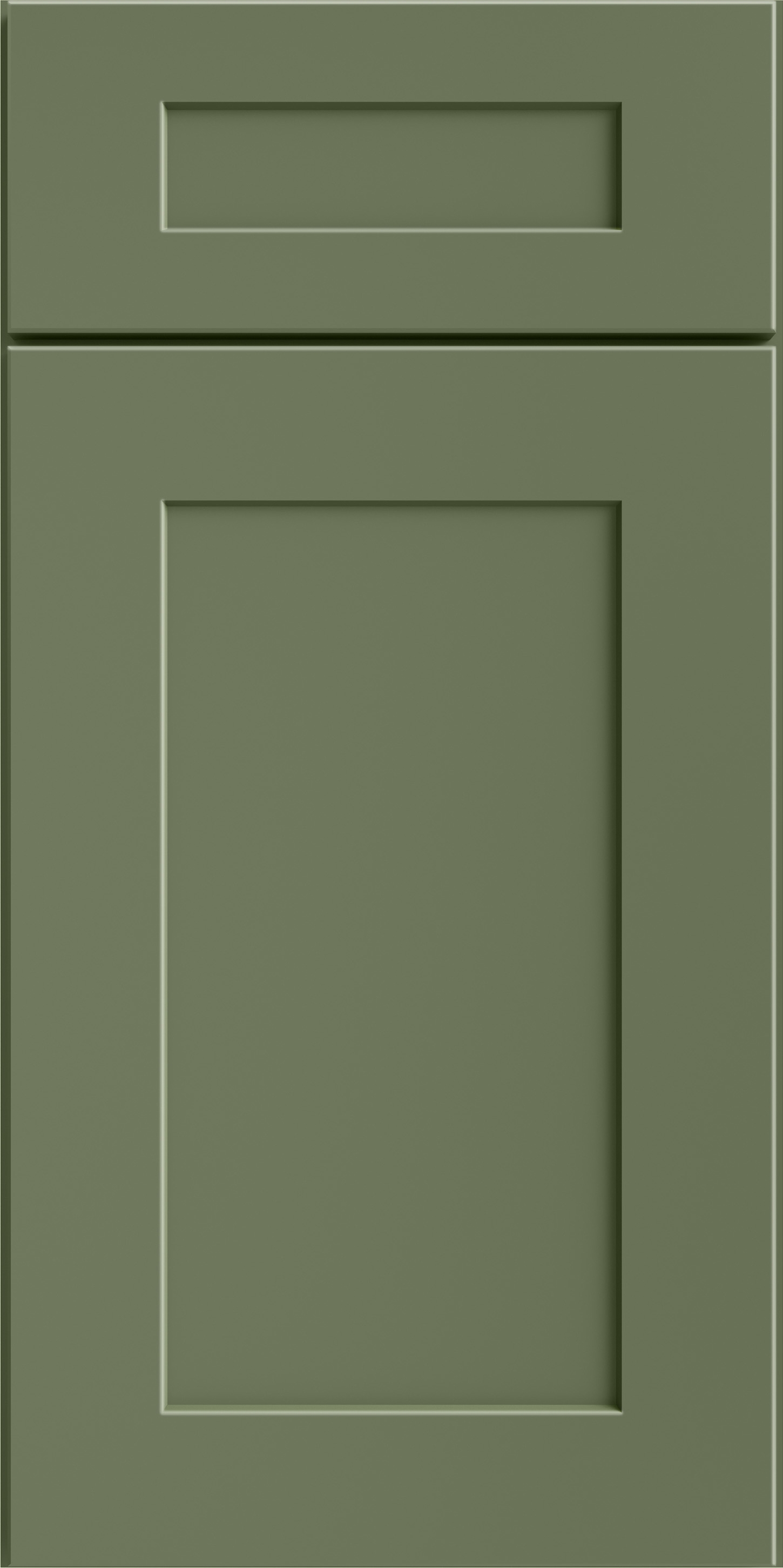 Elegant-Evergreen