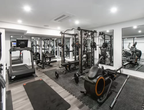 Multi-Functional Basement Renovation